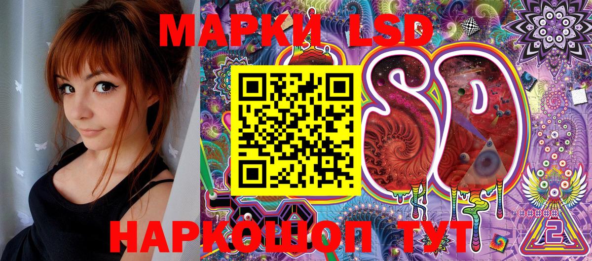 Галлюциногенные грибы Моздок