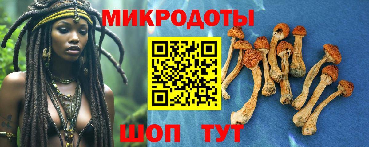 закладки  Вход с VPN  Моздок  Галлюциногенные грибы прущие грибы 